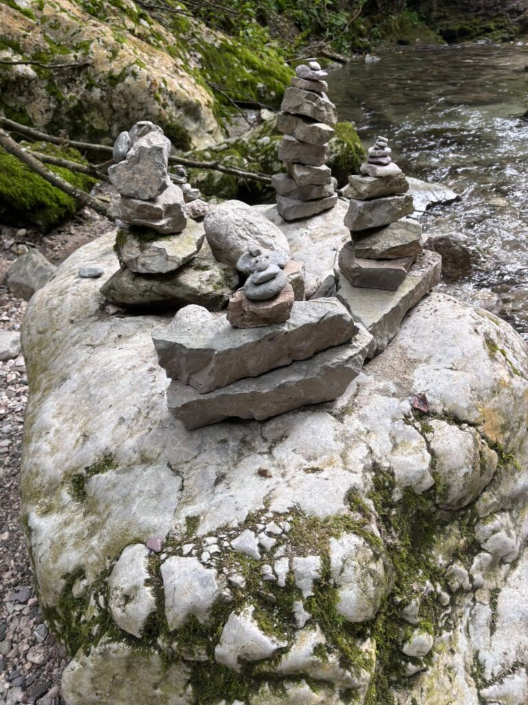 WhatsApp Image 2025 08 08 at 16.19.08