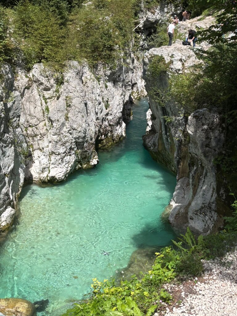 WhatsApp Image 2025 08 08 at 16.19.09 1