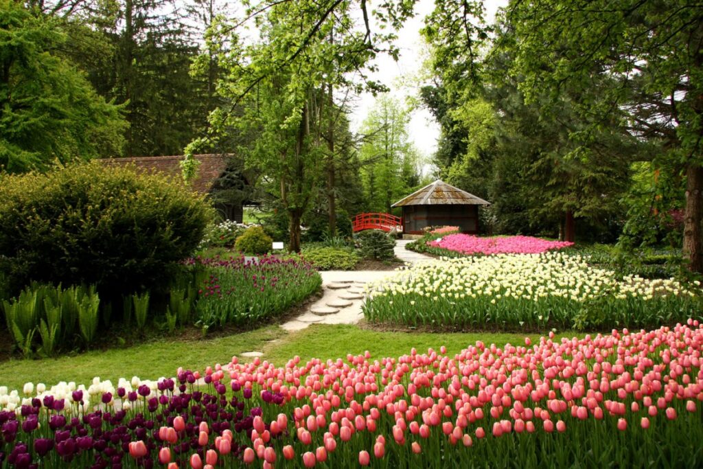 Valle de Logar & parque de flores Mozirje 2 mozirski gaj 1